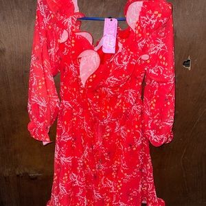 Southern Fried Chics Dress New With Tags